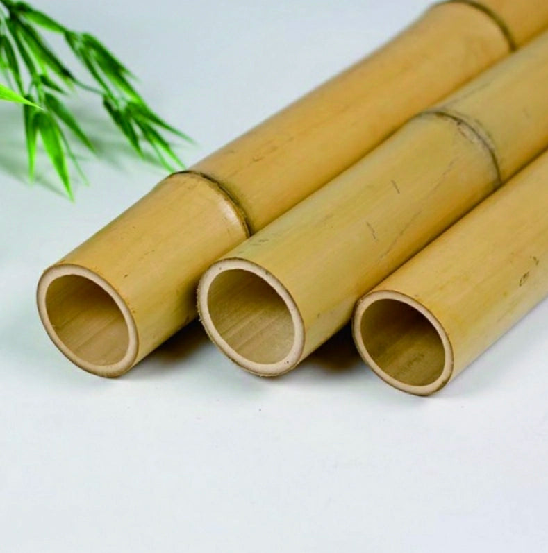 Bamboo Support Poles