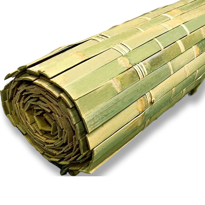fresh green Sukkah schach bamboo rolled up