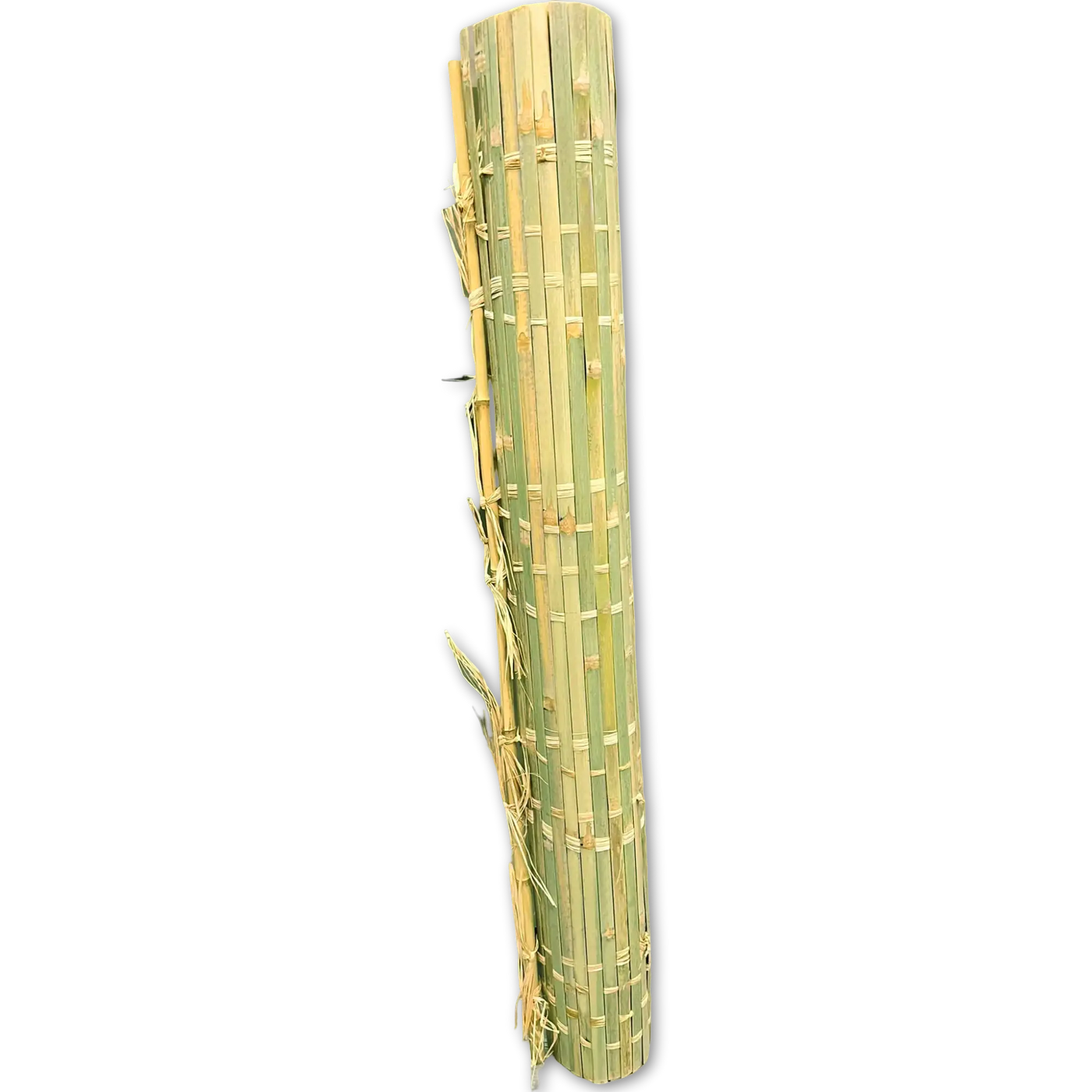 green sukkah bamboo mat standing up